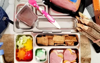Lunch box for kids with assorted food items including turkey ham.