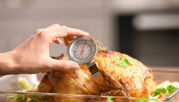 A person checking the temperature of a whole turkey